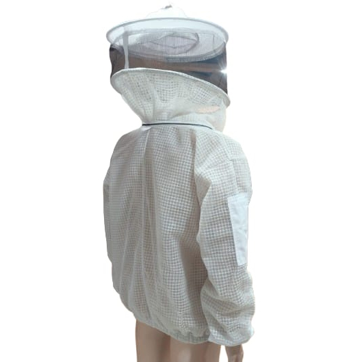 image_not_found